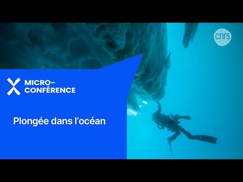 Captation Vidéo à la Cité des Congrès de Nantes